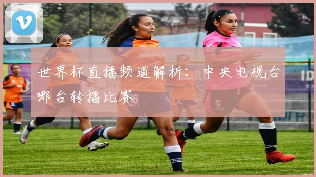 世界杯直播频道解析：中央电视台哪台转播比赛