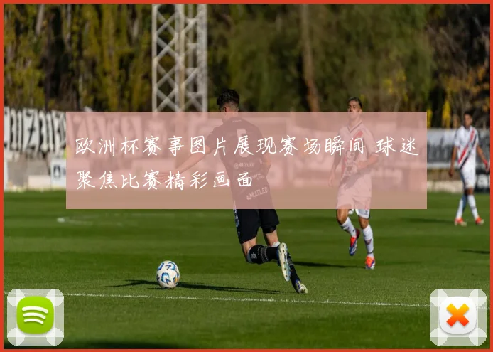 欧洲杯赛事图片展现赛场瞬间 球迷聚焦比赛精彩画面