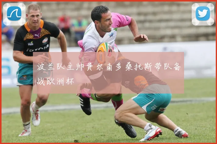 波兰队主帅费尔南多桑托斯带队备战欧洲杯