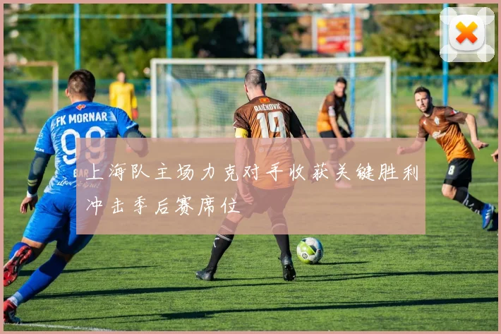 上海队主场力克对手收获关键胜利冲击季后赛席位