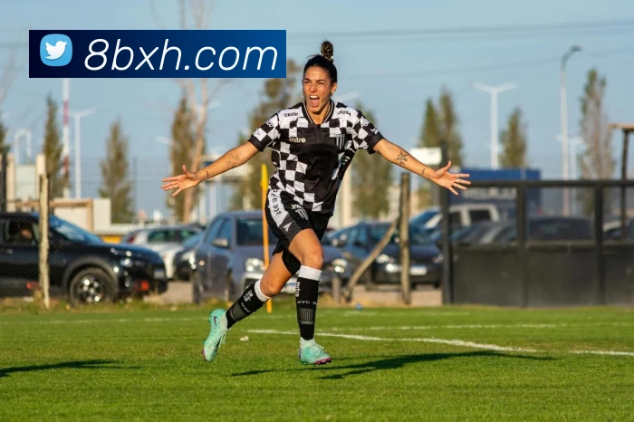 超凡国际平台生态图